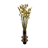 Bunch Dried Bunny Tails Grass-20-24"  apx 1 oz