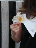 Hand-painted Vintage Daisy Compact Mirror