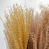 Dried Preserved Buddha Dust Bouquets 21" Multiple Colors