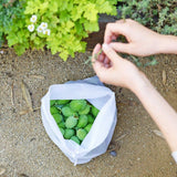 Reusable Produce Bags