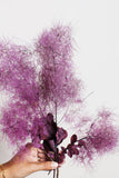 Preserved Smoke Tree