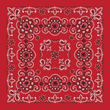 Bandanna Co Texas Paisley 27" X 27": Black