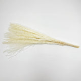 Dried Preserved Buddha Dust Bouquets 21" Multiple Colors