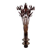 Bunch Dried Bunny Tails Grass-20-24"  apx 1 oz