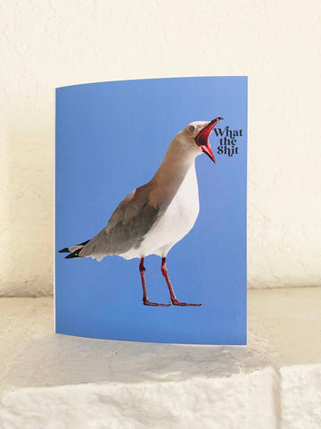 What the Shit Funny Seagull Card - Sympathy Birthday