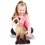 Stefan The Siamese Cat | 13 Inch Stuffed Animal Plush