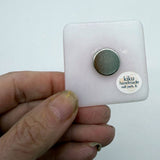 New York City Pigeon Glass 1.75" Handmade Magnet