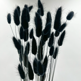 Bunch Dried Bunny Tails Grass-20-24"  apx 1 oz