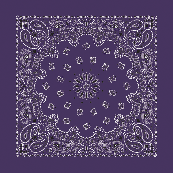 Bandanna - 22" MADE IN USA - Plum Paisley
