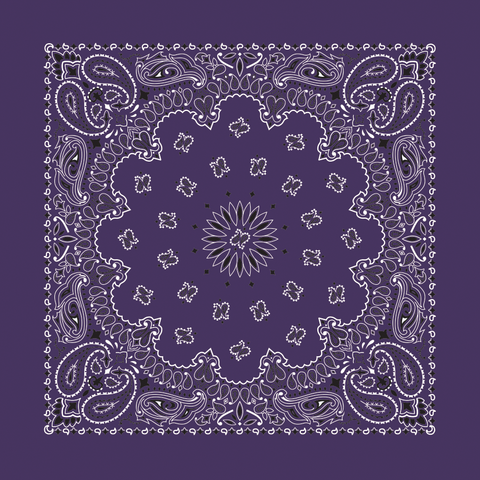 Bandanna - 22" MADE IN USA - Plum Paisley