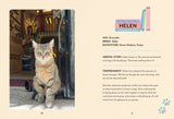 Bookshop Cats