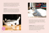 Bookshop Cats