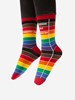 Library Card Pride Socks - Small