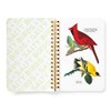 Salty Birds Sticker Book