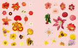 Extraordinary Things Sticker Book
