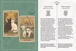 Cats Rule the Earth Tarot : 78-Card Deck and Guidebook for the Feline-Obsessed
