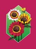 Paint by Sticker: Plants and Flowers : Create 12 Stunning Images One Sticker at a Time!