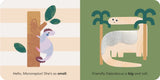 MiniTouch: Dinosaurs:  Touch-and-feel first opposites