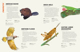 America is Wild!:  A State-By-State Encyclopedia of American Wildlife