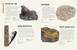 America is Wild!:  A State-By-State Encyclopedia of American Wildlife