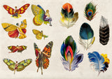 The Curious Collections Sticker Book