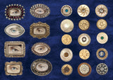 The Curious Collections Sticker Book