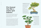 The Happy Bonsai Handbook:  Essential advice and easy techniques for Bonsai beginners and Beyond