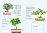 The Happy Bonsai Handbook:  Essential advice and easy techniques for Bonsai beginners and Beyond