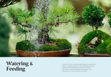 The Happy Bonsai Handbook:  Essential advice and easy techniques for Bonsai beginners and Beyond