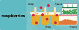Let's Make Ice Pops:  See it, say it, cook it, eat it!