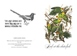 Effin' Birds:  A Field Guide to Identification