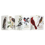 Field Notes Birds and Trees of North America Notebook 3-Pack