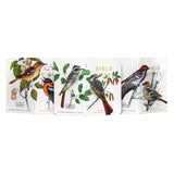 Field Notes Birds and Trees of North America Notebook 3-Pack