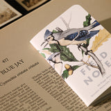 Field Notes Birds and Trees of North America Notebook 3-Pack