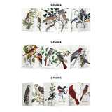 Birds and Trees of North America