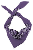 Bandanna - 22" MADE IN USA - Plum Paisley