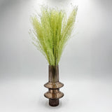 Dried Preserved Buddha Dust Bouquets 21" Multiple Colors