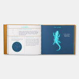 Seeing Stars: A Complete Guide To The 88 Constellations