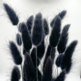 Bunch Dried Bunny Tails Grass-20-24"  apx 1 oz
