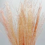 Dried Preserved Buddha Dust Bouquets 21" Multiple Colors