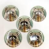Hot Dog Raccoon Magnet