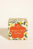 Mango Citrus Sorbet Soy Wax Candle