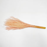 Dried Preserved Buddha Dust Bouquets 21" Multiple Colors