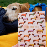 It's been too long (dog) miss you card