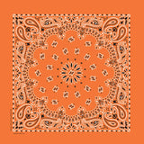 Bandanna - 22" MADE IN USA - Orange Paisley
