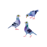 Temporary Tattoo Pigeons 2 Sheets