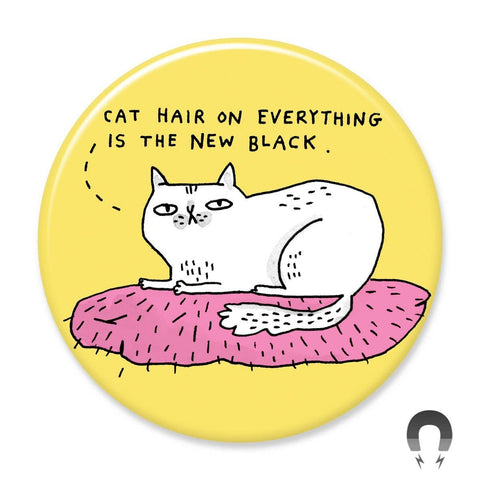 Cat Hair On Big Magnet