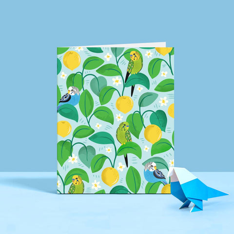 Colorful Budgies Blank Everyday Card