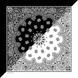 Bandanna Co Paisley Split 22" X 22": White/Black