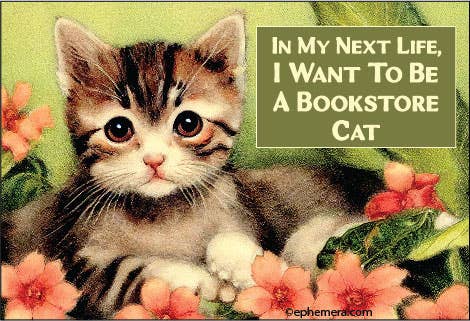 MAGNET: In my next life, I want to be a Bookstore